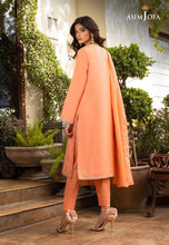 3pc ASIM JOFA Pret Essentials23 28