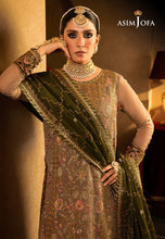 Asim Jofa Ready to Wear Velvet Festive AJVF05