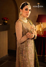 Asim Jofa Ready to Wear Velvet Festive AJVF05