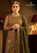 Asim Jofa Ready to Wear Velvet Festive AJVF05