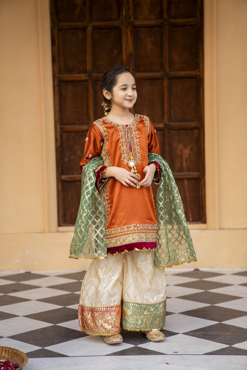 3pc Festive Girls Dress by ARWAH AG12