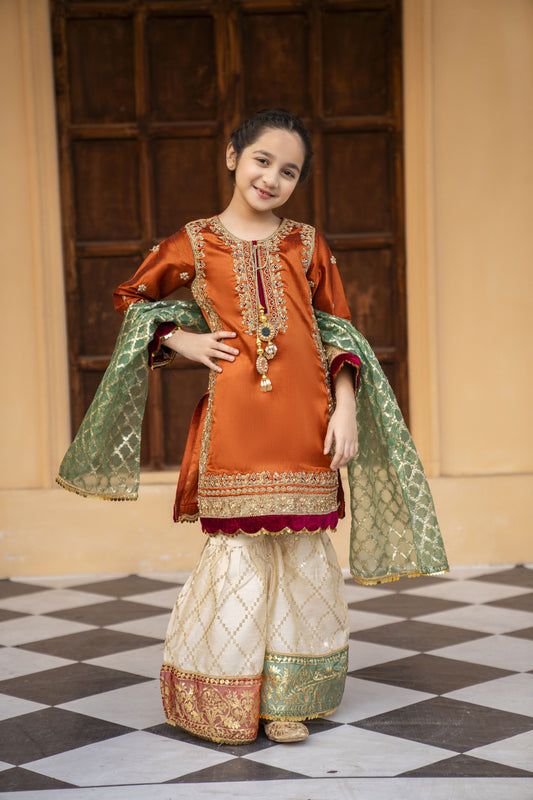 3pc Festive Girls Dress by ARWAH AG12