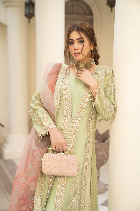 Arwah Organza Luxury Formal Dress VA5