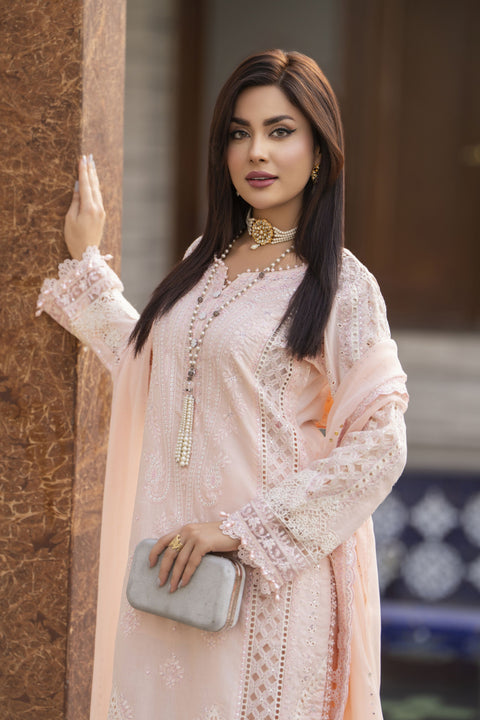 Raabtaa – A Silver Affair | Blush Pink Farshi Shalwar Womenswear SRS02