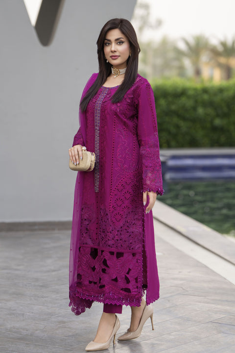 Raabtaa – A Silver Affair | Deep Magenta Designer Womens Eveningwear SRS07