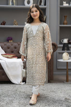 Starstruck by Ain – Silver Net Embroidered 2pc Dress with Shimmer Inner SBA7