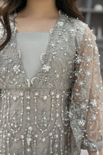 Starstruck by Ain – Silver Net Embroidered 2pc Dress with Shimmer Inner SBA7