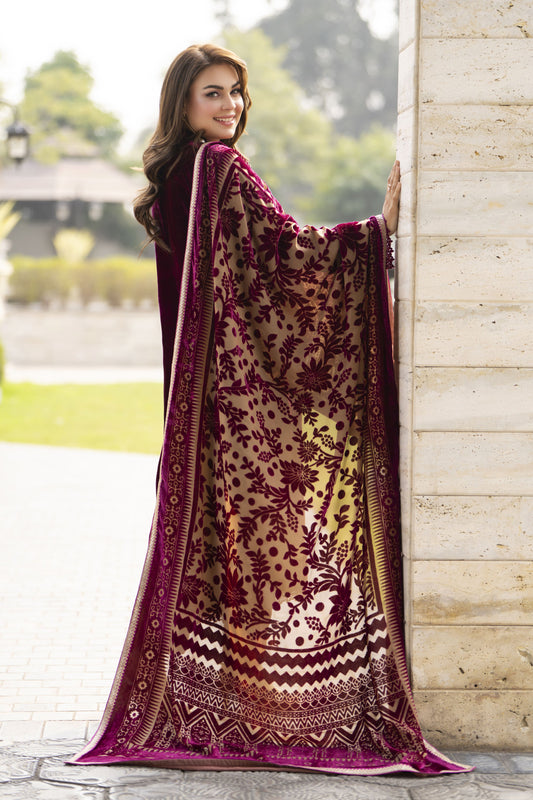 French Velvet Ready to Wear 3pc Suit with Palachi Shawl – Gul Warun FNG3