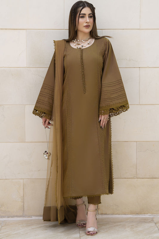 Aabpara Simply Warm Linen 3pc Ready to Wear with Dyed Net Dupatta SWA6