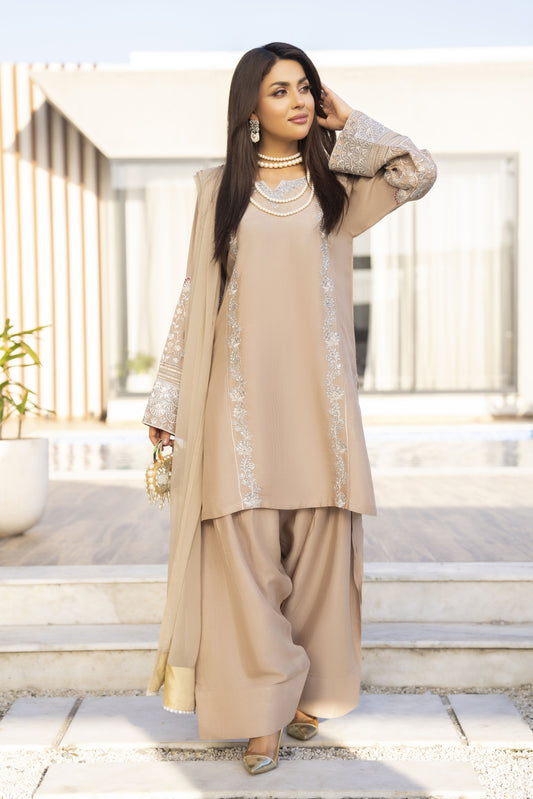 Aabpara’s Timeless Farshi Charm – FTA3