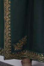 Aleezay Evara 3pc Raw Silk Long Embroidered Dress EZ11