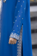 Aleezay Evara 3pc Raw Silk Embroidered Long Dress EZ5