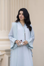 Aleezay Evara 3pc Raw Silk Embroidered Long Ready to Wear Suit EZ8