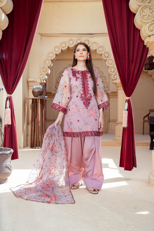 Blush Pink Organza Embroidered Shirt with Silk Farshi Shalwar – RNK6 | Noorma Kamal
