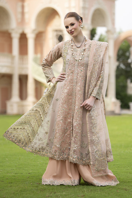Silver 3pc Organza Handwork Long Frock with Sharara – The Occasion OS4