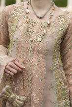 Silver 3pc Organza Handwork Long Frock with Sharara – The Occasion OS4