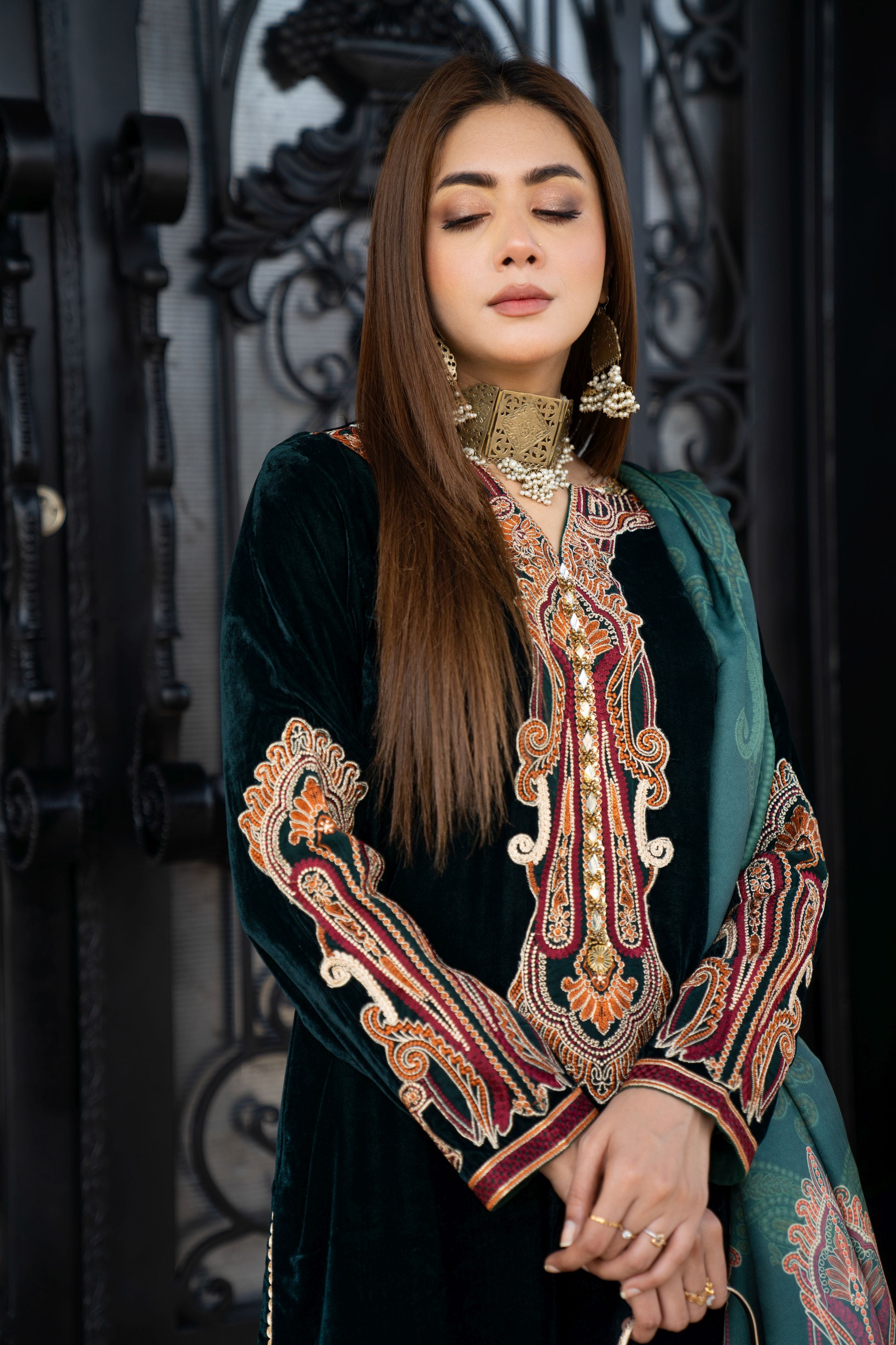 Vogue Vistas Velvet Embroidered Dress by Zaiwa ZB7