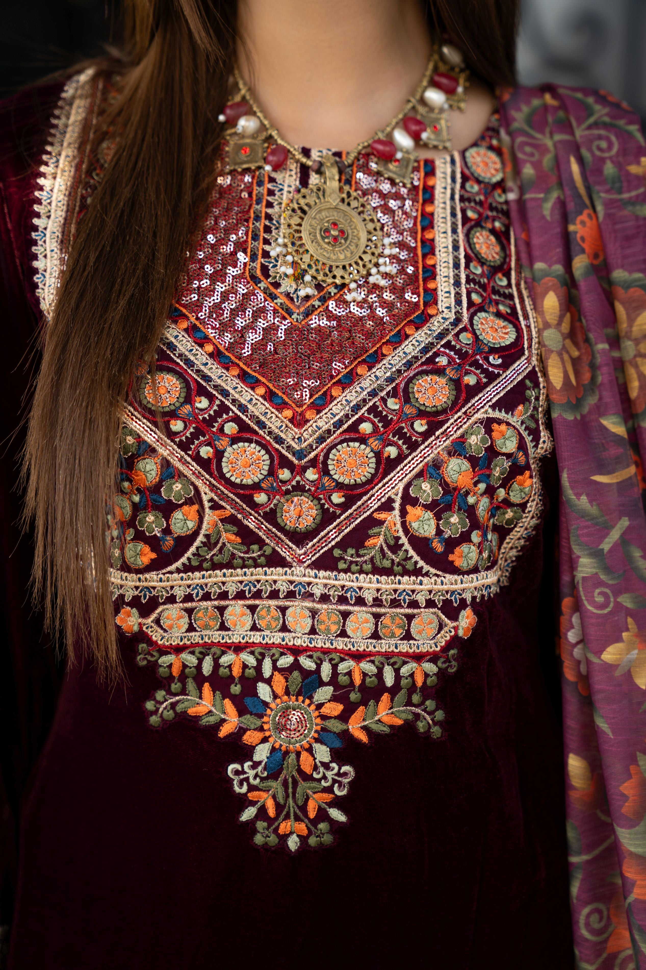 Vogue Vistas Velvet Embroidered Dress by Zaiwa ZB9