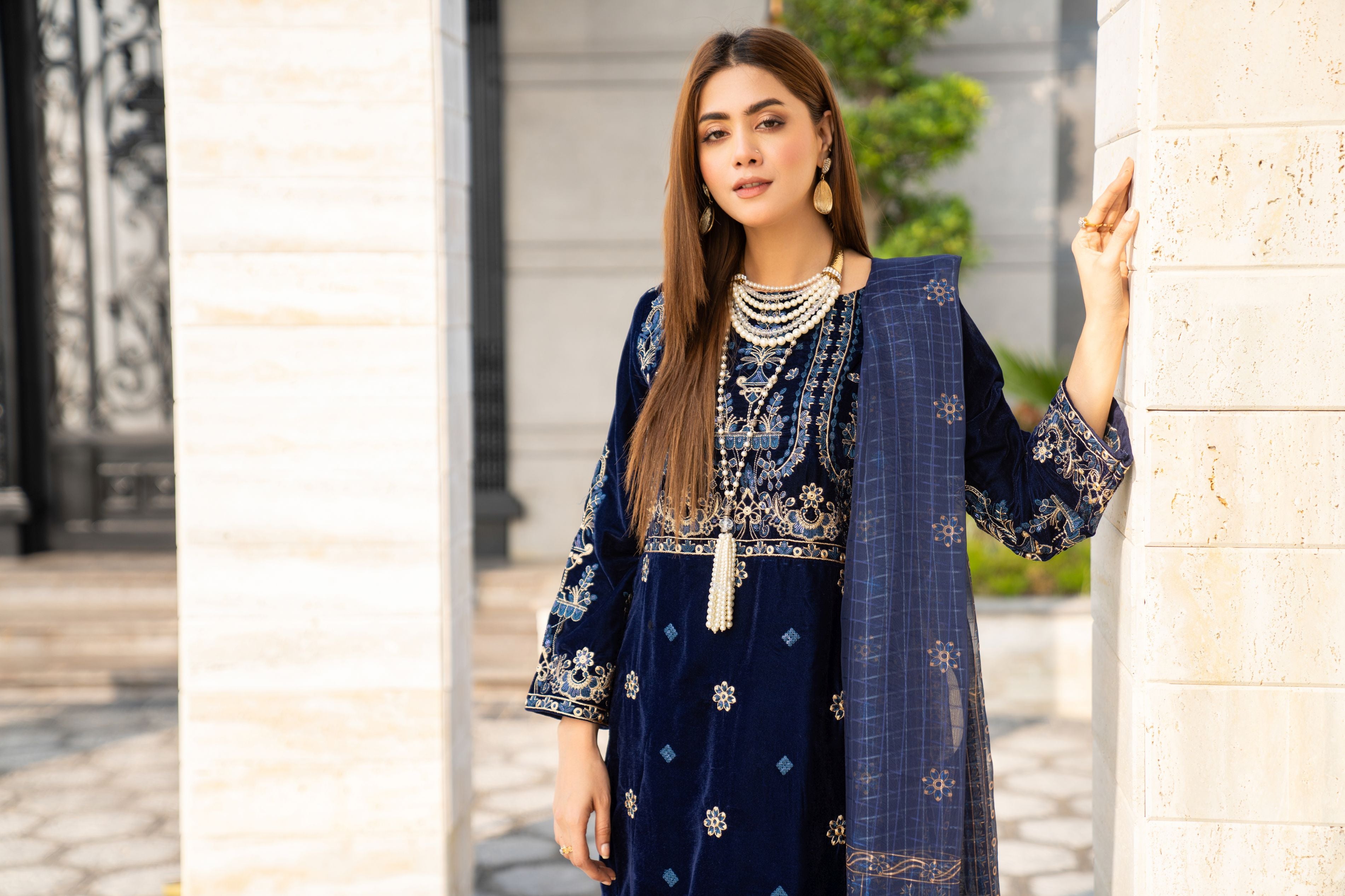 Vogue Vistas Velvet Embroidered Dress by Zaiwa ZB5
