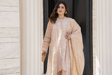 Shaadi by Silver Pink Embroidered Organza Handwork Long Gown Set SXS3