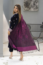 Zaina Plush – Elin Velvet Ready to Wear 3pc Suit