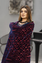 Zaina Plush – Noira Velvet Ready to Wear 3pc Suit