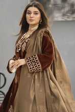 Zaina Plush – Tara Velvet Ready to Wear 3pc Suit