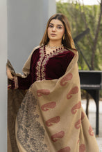 Zaina Plush – Raya Velvet Ready to Wear 3pc Suit