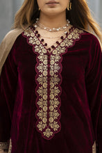 Zaina Plush – Raya Velvet Ready to Wear 3pc Suit