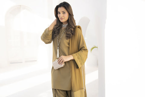 Farshi Mahal by Aabpara – Festive Farshi Shalwar Dress FMA4