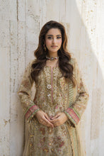 Arwah The Wedding Guest Edit 3pc Handworked Net Gharara Suit – ASG6