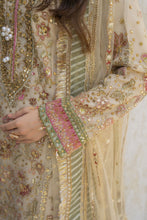 Arwah The Wedding Guest Edit 3pc Handworked Net Gharara Suit – ASG6