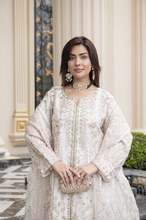 Sitara by Silver – 3pc Organza Embroidered & Handworked Dress SBS3