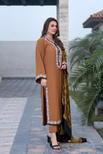 Zohra | 3pc Ready to Wear Winter Dress with Palachi Shawl ZAB1