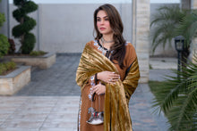 Zohra | 3pc Ready to Wear Winter Dress with Palachi Shawl ZAB1