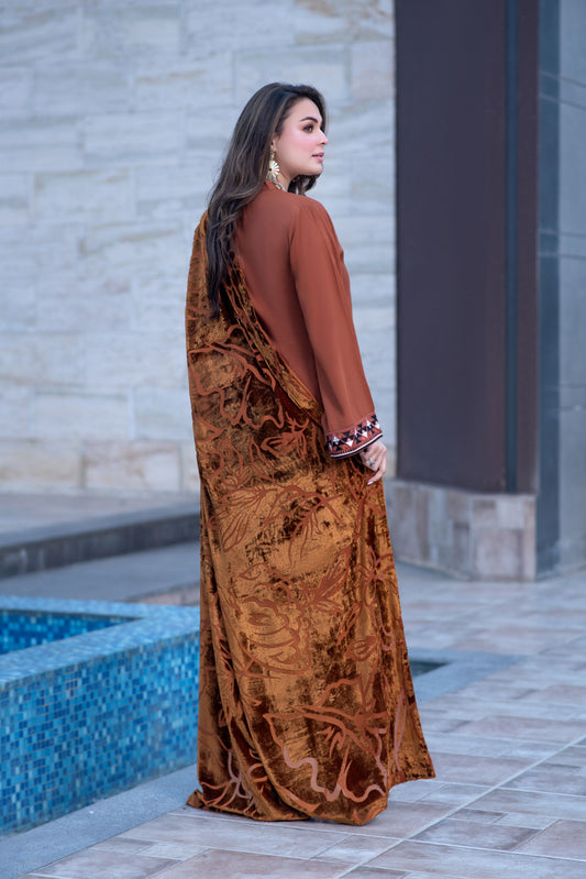 Zohra | 3pc Ready to Wear Winter Dress with Palachi Shawl ZAB5