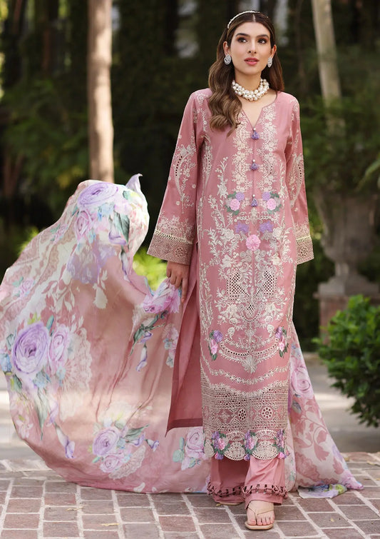Premium Festive Chikankari by Elaf 11B