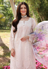 Premium Festive Chikankari by Elaf 3
