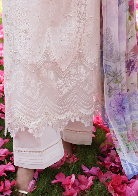 Premium Festive Chikankari by Elaf 3