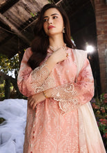 Premium Festive Chikankari by Elaf 6