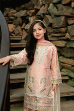 Chikankari Cotton Ready to Wear Summer Girls Collection GCC2