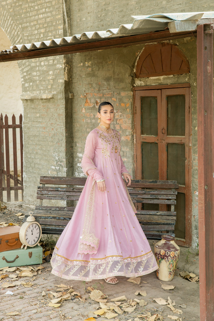 MONA Festive Collection S04
