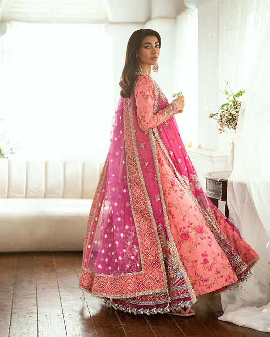 Mushq Ready to Wear Magenta Embellished Chiffon Formal Suit – MFF8