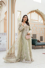 Net Formal Long Frock Y4