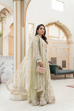 Net Formal Long Frock Y4
