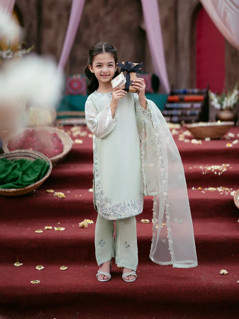 Rangrez by Mona 3pc Embroidered Silk Palazzo Suit RG2