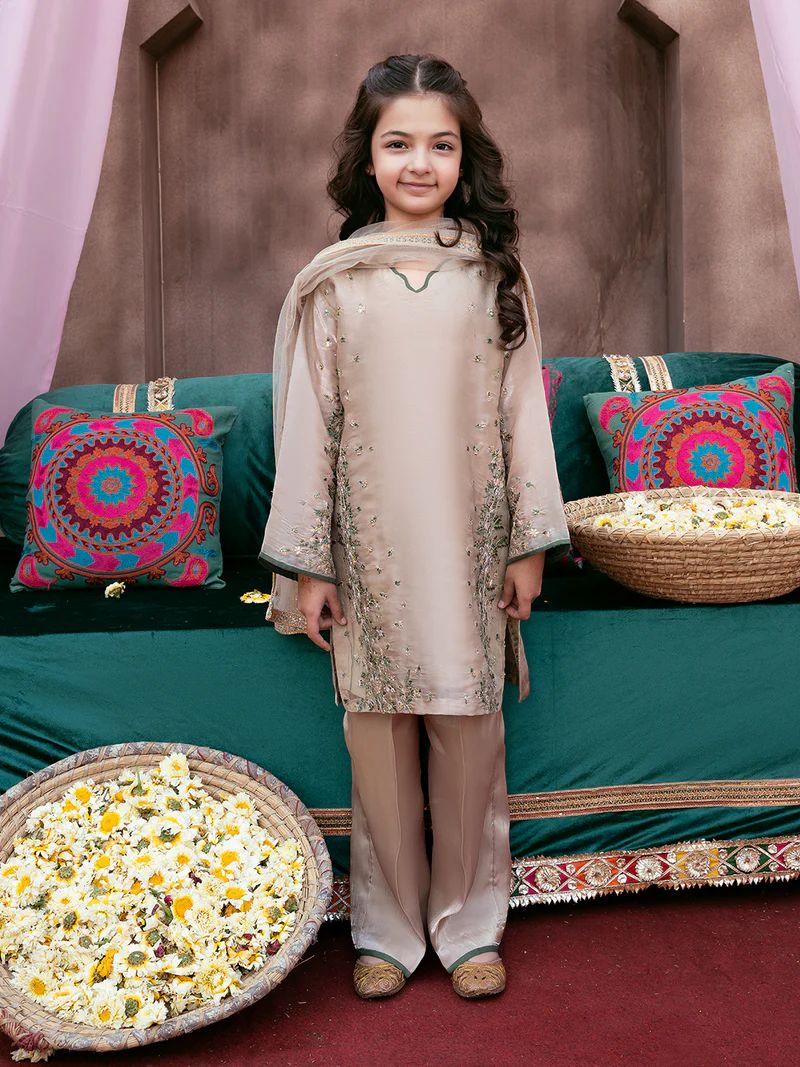 Rangrez by Mona 3pc Embroidered Silk Palazzo Suit RG5