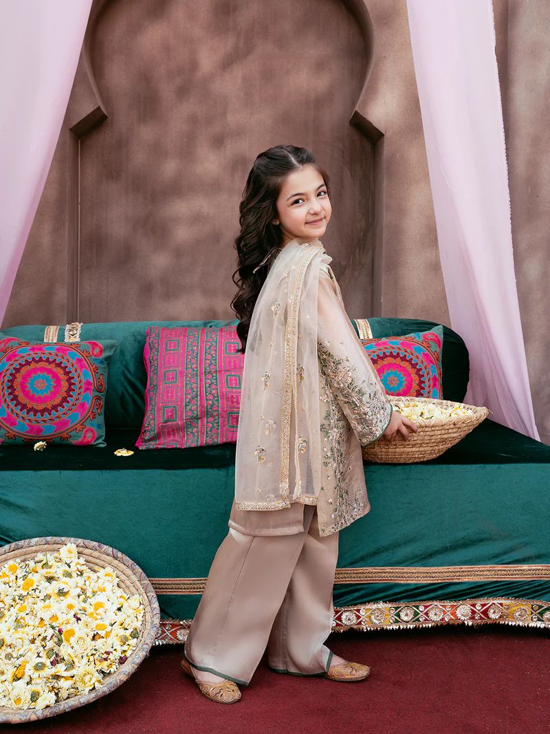 Rangrez by Mona 3pc Embroidered Silk Palazzo Suit RG5