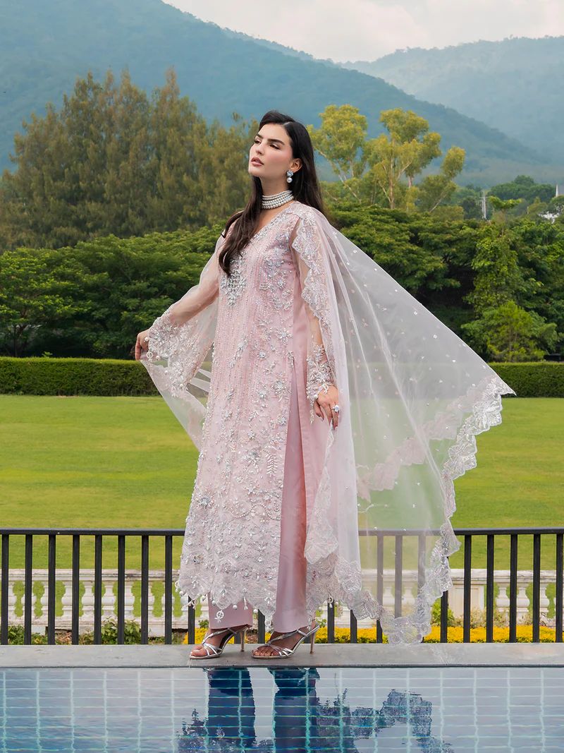 Mona 3pc Handworked Net Suit with Trousers – Meher3