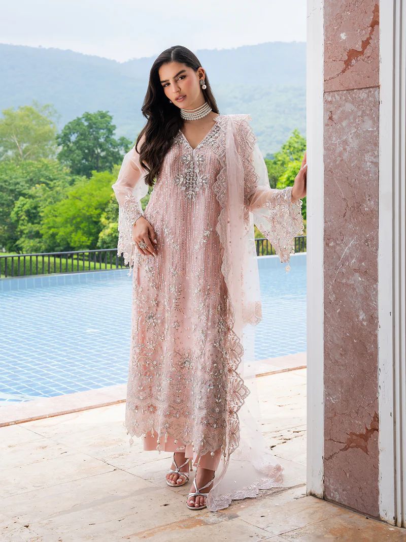 Mona 3pc Handworked Net Suit with Trousers – Meher3